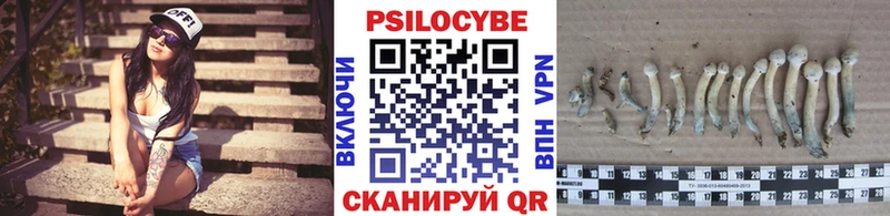 Галлюциногенные грибы мицелий  Купить где  Дедовск 