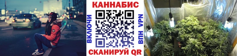 Купить где  Дедовск  Бошки Шишки ГИДРОПОН 
